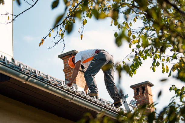Best Storm Damage Roof Repair  in The Woodlands, TX