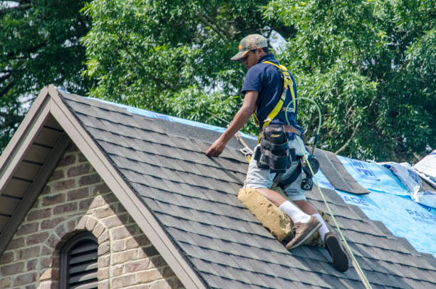 Best Gutter Installation and Roofing  in The Woodlands, TX